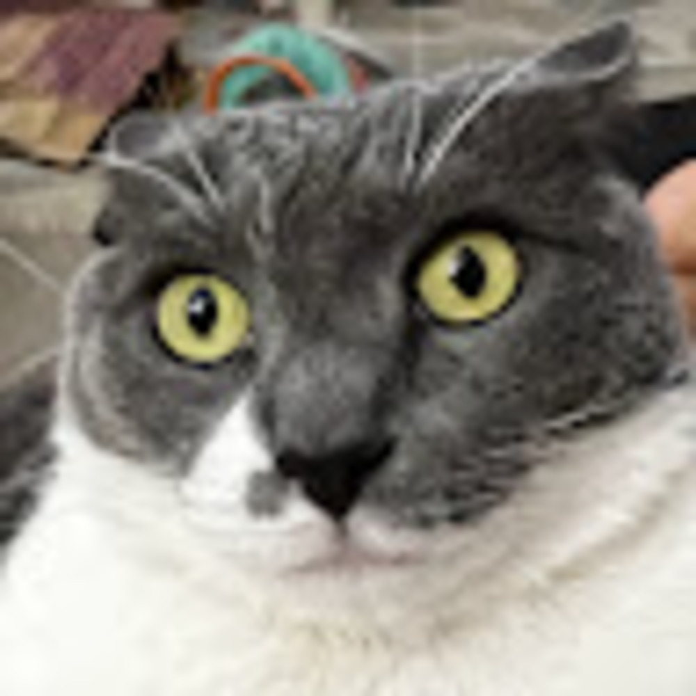 Meet your Posher, Ed